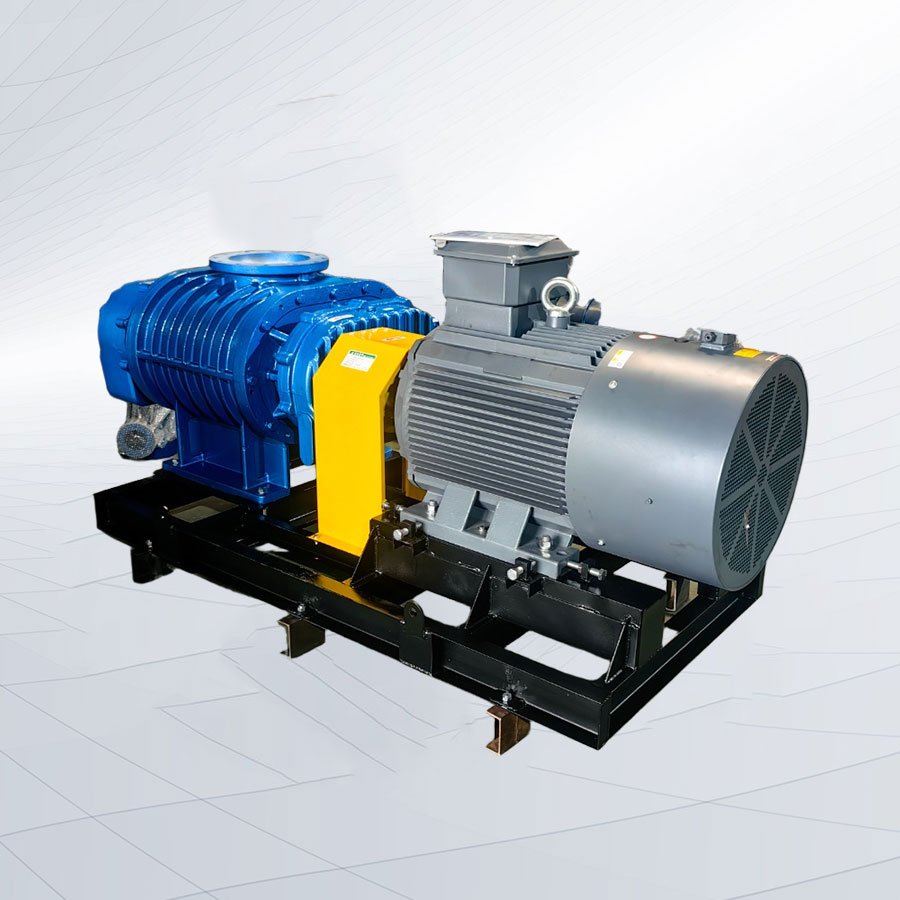 直聯(lián)式羅茨鼓風機