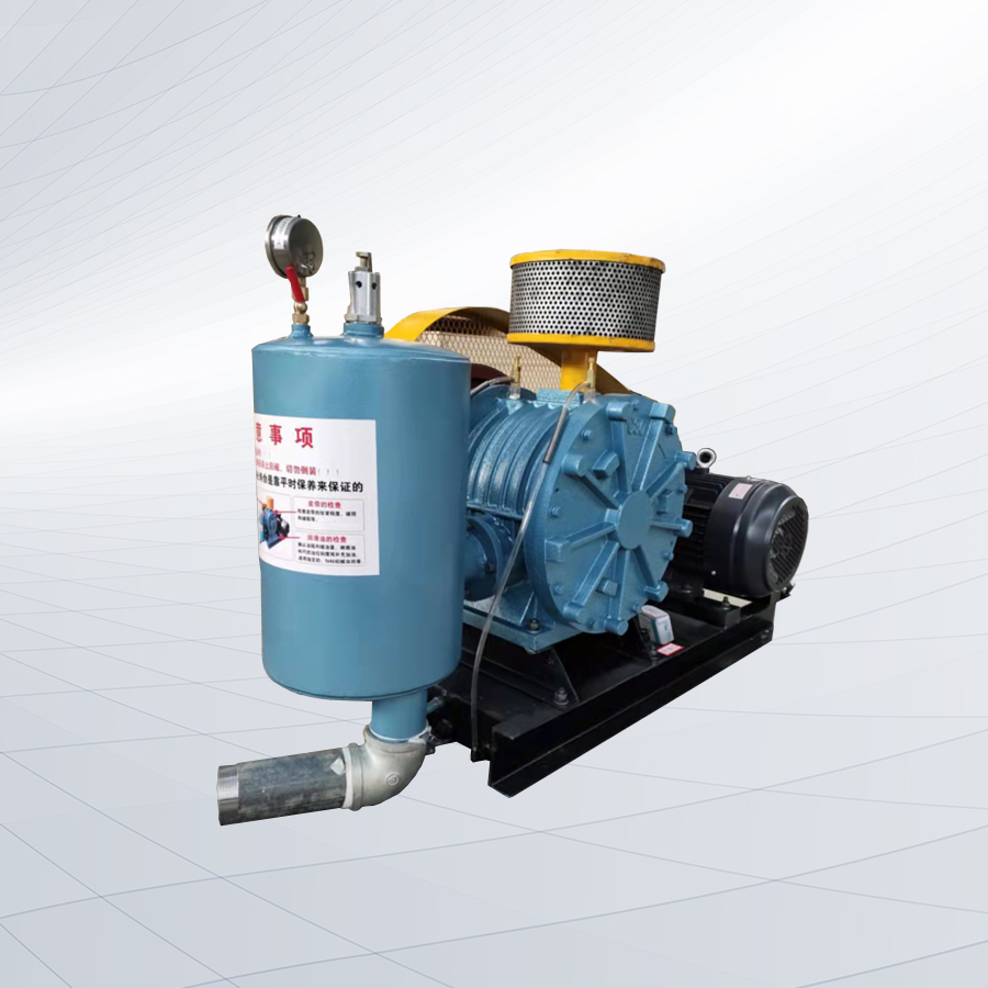 HC301S型回轉(zhuǎn)鼓風(fēng)機(jī)