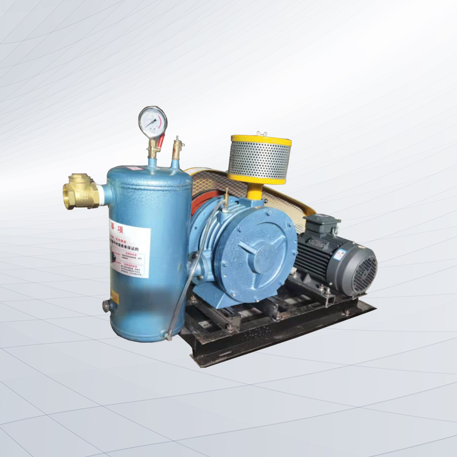 HC30S型回轉(zhuǎn)鼓風(fēng)機(jī)