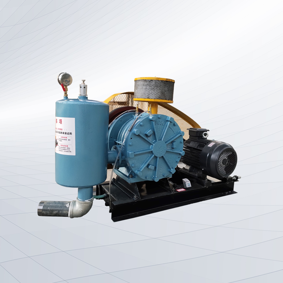 HC50S型回轉(zhuǎn)鼓風(fēng)機(jī)